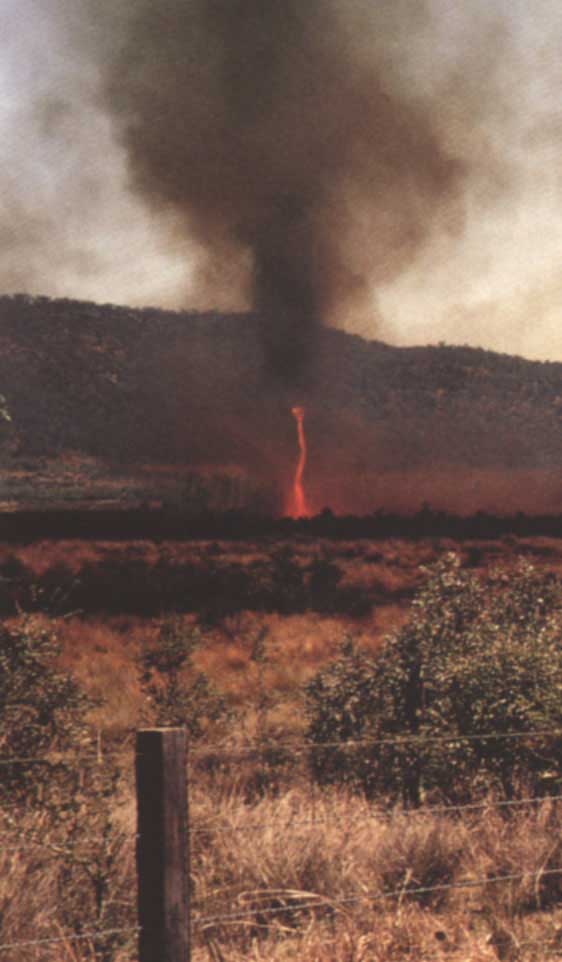 Click to enlarge. A fire tornado captured during NSW fires
